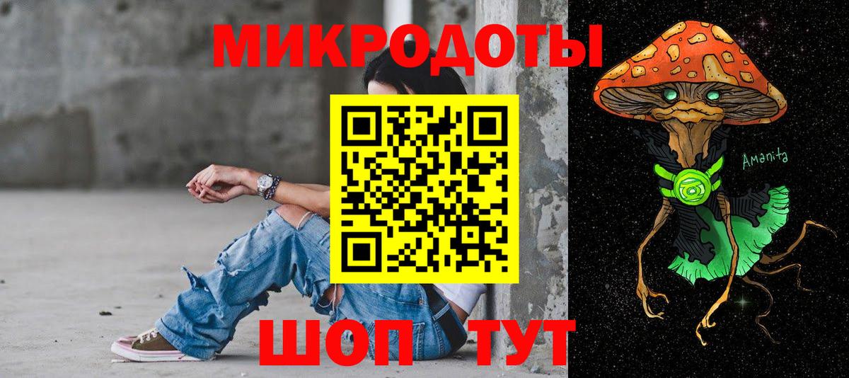 Галлюциногенные грибы Psilocybe Кунгур