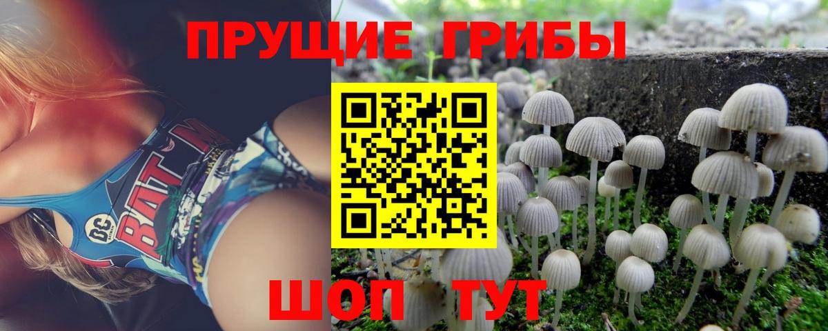 Галлюциногенные грибы GOLDEN TEACHER  Псилоцибиновые грибы Psilocybe  Кунгур  Вход с VPN 